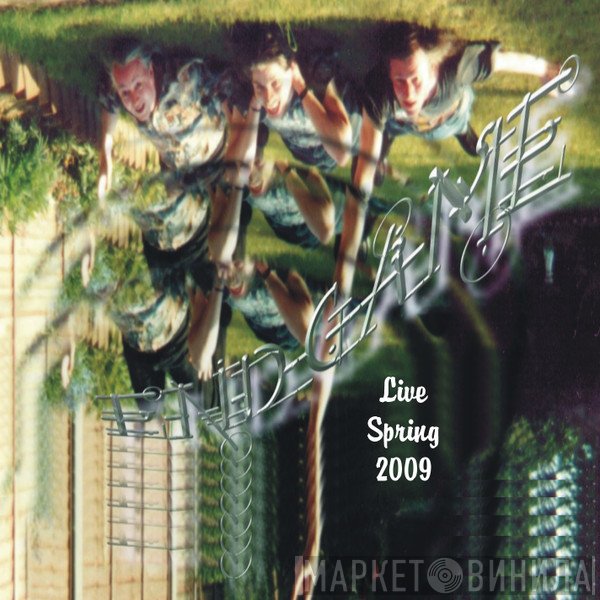 Endgame  - Live Spring 2009