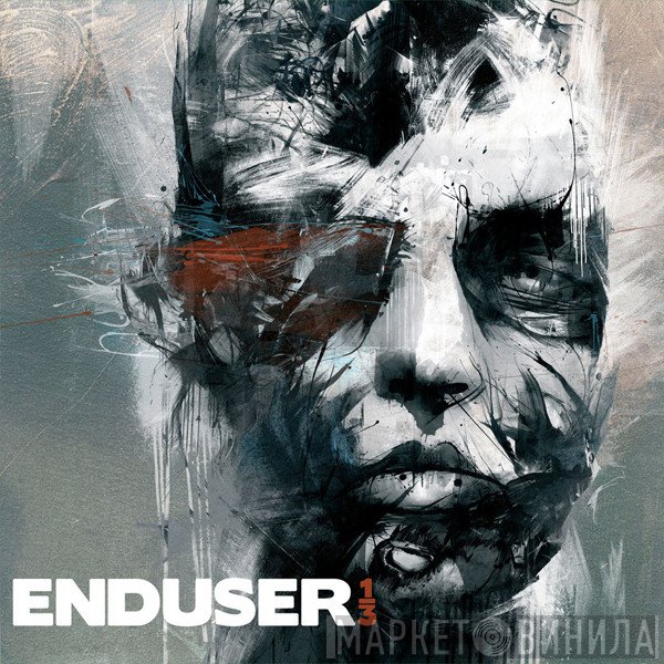 Enduser  - 1/3