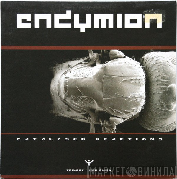 Endymion  - Catalysed Reactions Part 2
