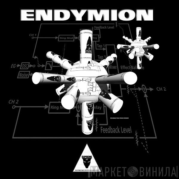 Endymion  - Recumbent DNA String Exponent