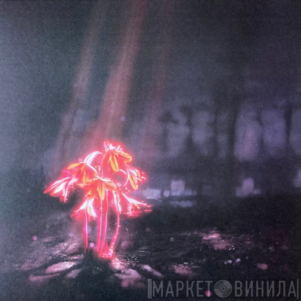 Enter Shikari - A Kiss For The Whole World