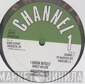 Ernest Wilson  - I Know Myself