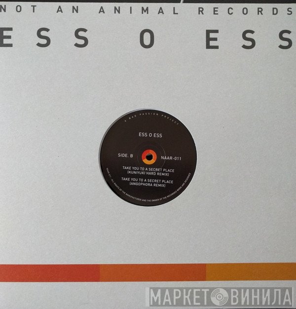 Ess O Ess  - Take You To A Secret Place