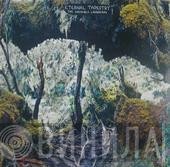Eternal Tapestry  - The Invisible Landscape