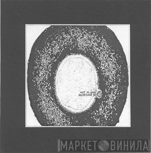 Exit In Grey  - Audiometry