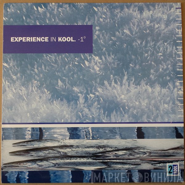  - Experience In Kool. -1°