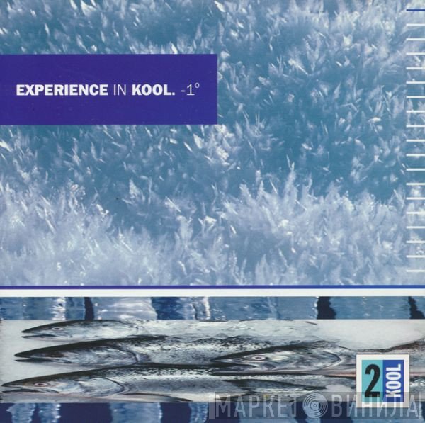  - Experience In Kool. -1°