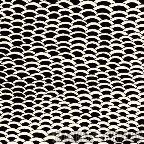 Fantastic Plastic Machine  - Scale