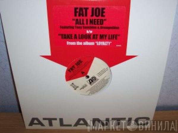 Fat Joe  - All I Need