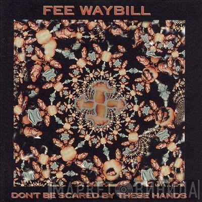 Fee Waybill - Don't Be Scared By These Hands