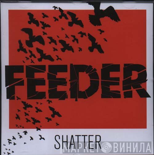Feeder  - Shatter