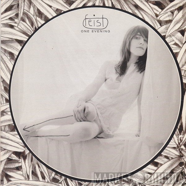 Feist  - One Evening