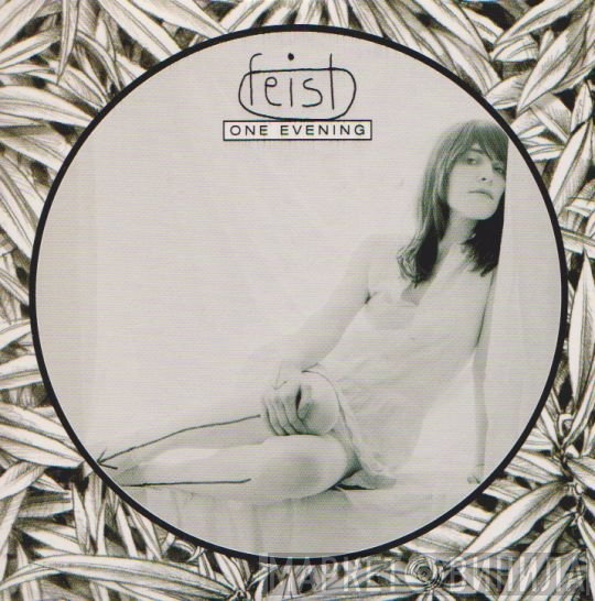 Feist  - One Evening