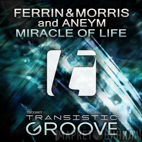 Ferrin & Morris And Aneym  - Miracle Of Life