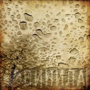 Field Rotation  - Regenzeit