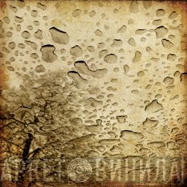 Field Rotation - Regenzeit