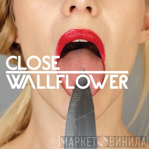 Fink, Close  - Wallflower