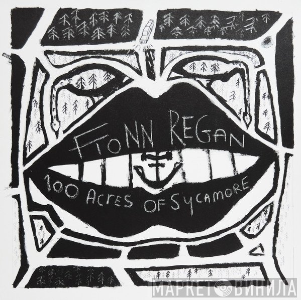 Fionn Regan - 100 Acres Of Sycamore