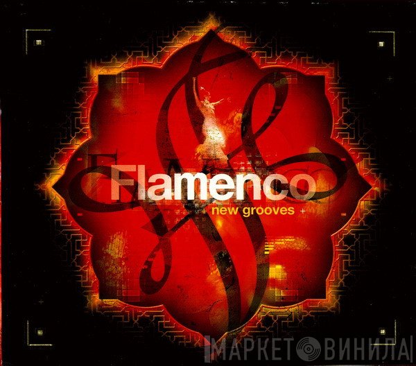  - Flamenco New Grooves