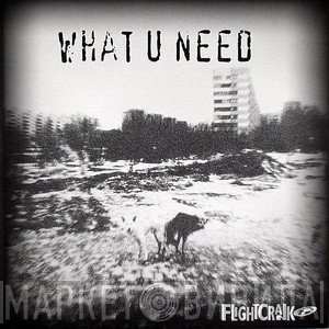 Flightcrank - What U Need