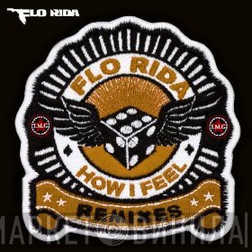 Flo Rida  - How I Feel