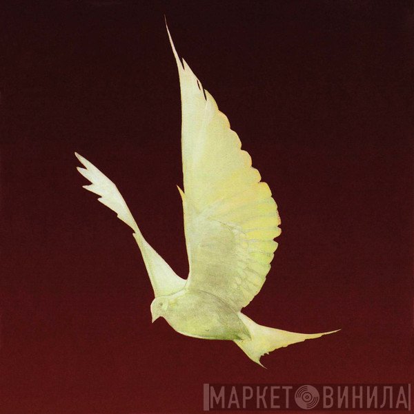 Floor   - Dove