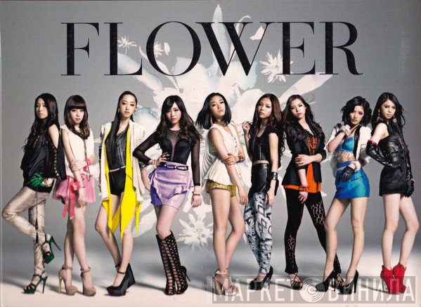 Flower   - Forget Me Not
