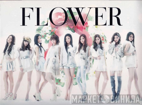 Flower   - Forget Me Not