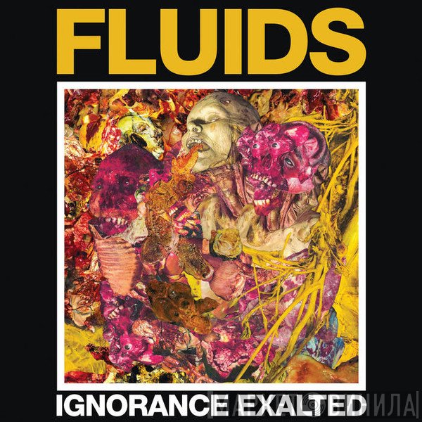 Fluids  - Ignorance Exalted
