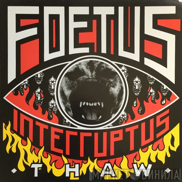 Foetus - Thaw