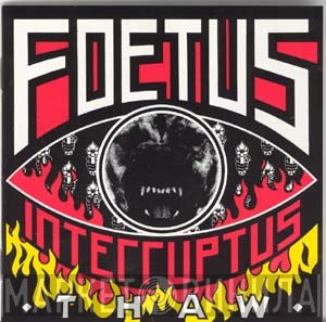 Foetus - Thaw