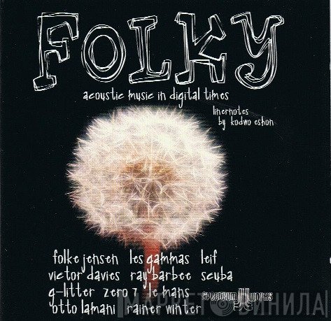  - Folky Acoustic Music In Digital Times
