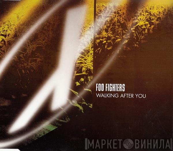 Foo Fighters - Walking After You