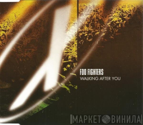 Foo Fighters - Walking After You
