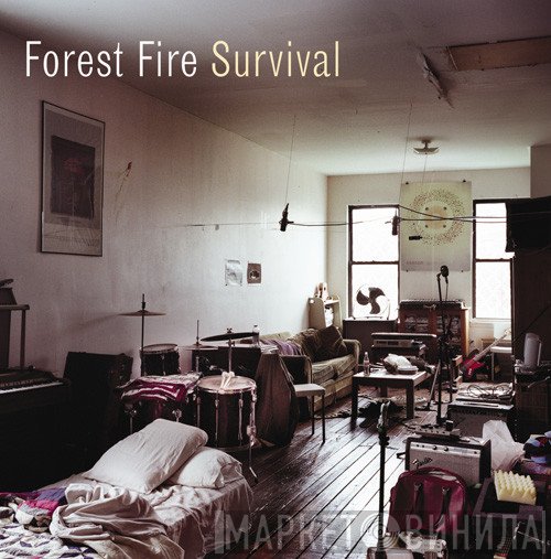 Forest Fire - Survival