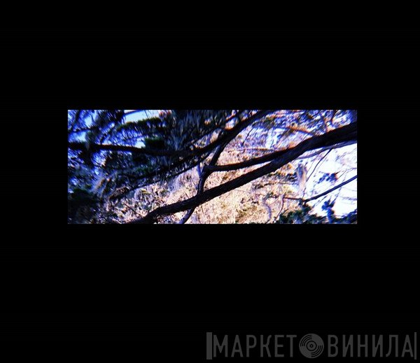 Forest Management  - Untitled