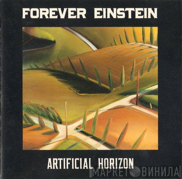Forever Einstein - Artificial Horizon