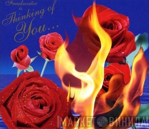 Freakwater - Thinking Of You...