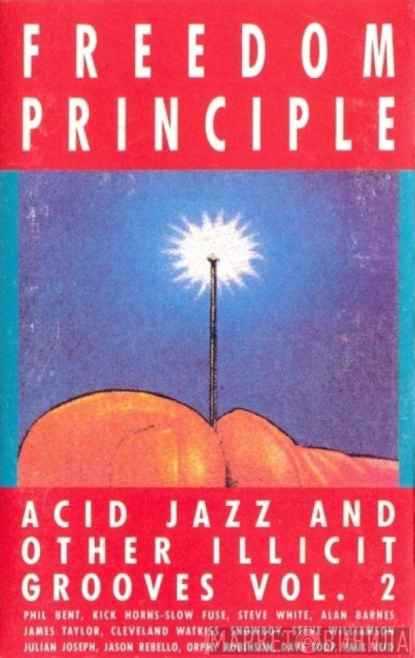  - Freedom Principle - Acid Jazz And Other Illicit Grooves Vol. 2