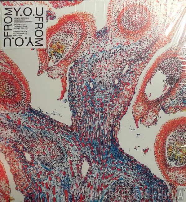 From  - Y​.​O​.​U
