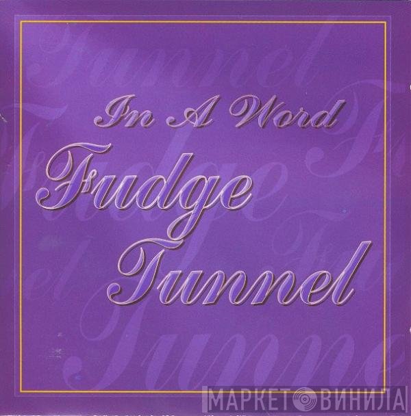Fudge Tunnel  - In A Word