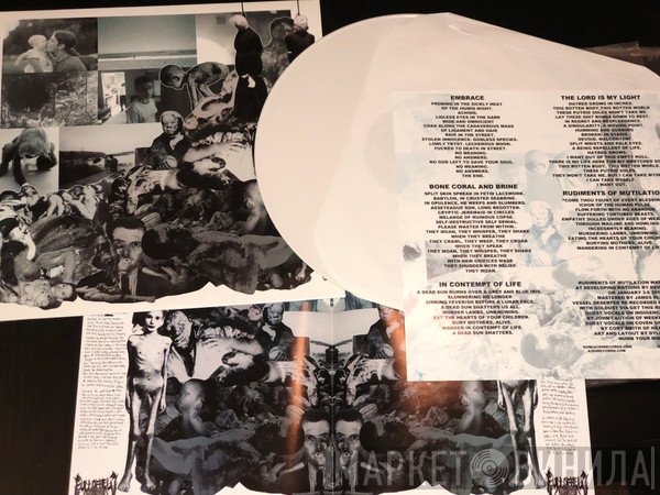 Full Of Hell  - Rudiments Of Mutilation