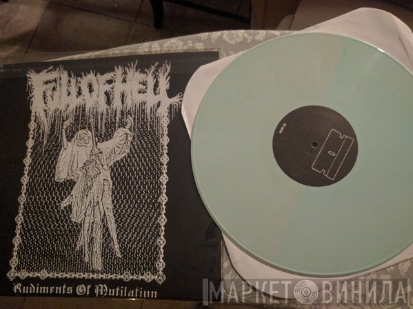 Full Of Hell  - Rudiments Of Mutilation