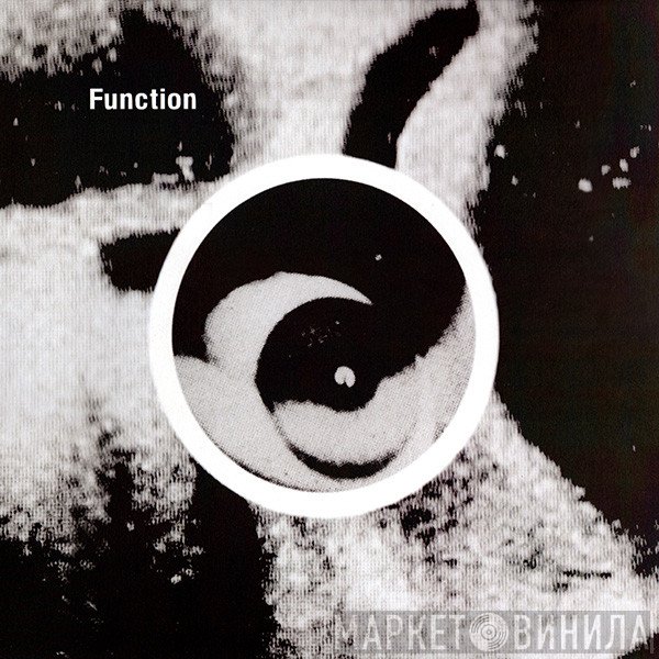 Function  - Gradient