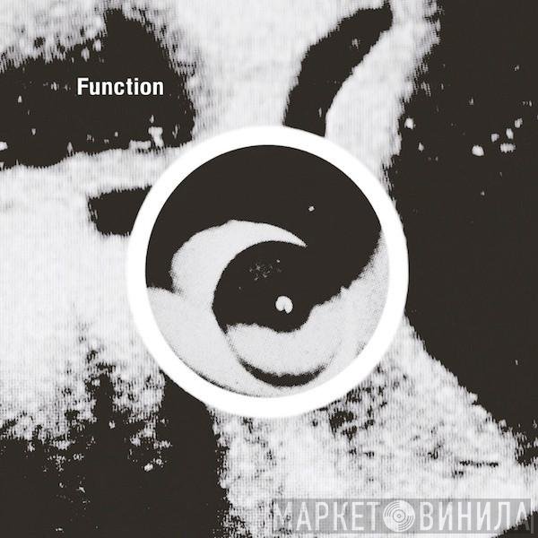 Function  - Gradient