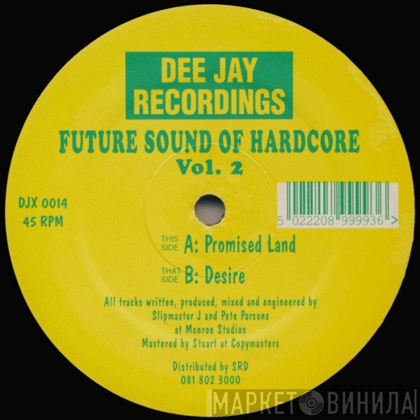 Future Sound Of Hardcore - Vol.2 - Promised Land / Desire