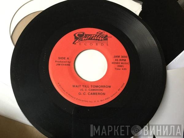 G.C. Cameron  - Wait Till Tomorrow