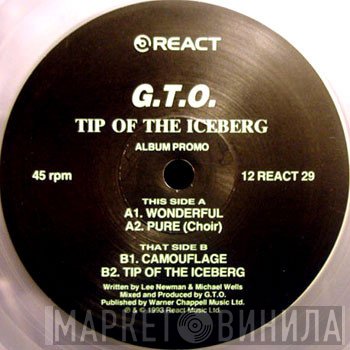 GTO - Tip Of The Iceberg