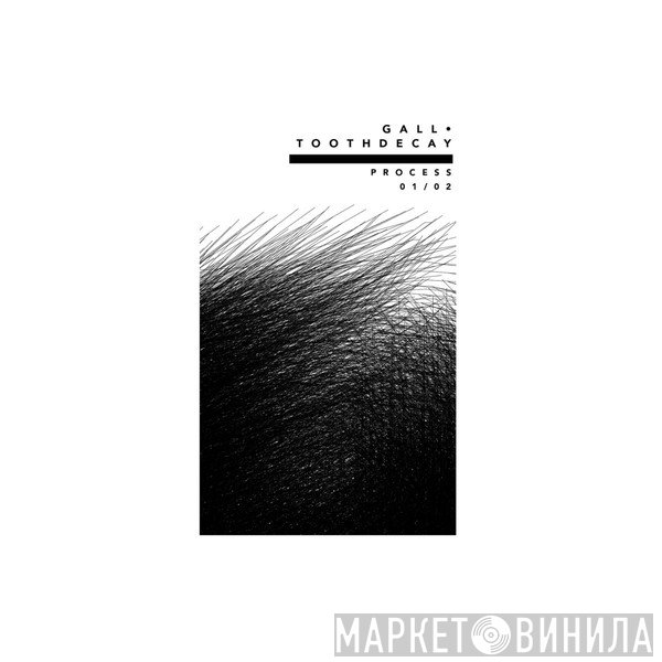Gall • Tooth Decay   - Process