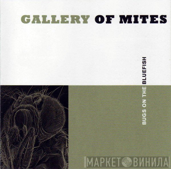 Gallery Of Mites - Bugs On The Bluefish
